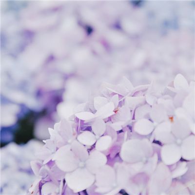 海贼杀ol手游公益服下载